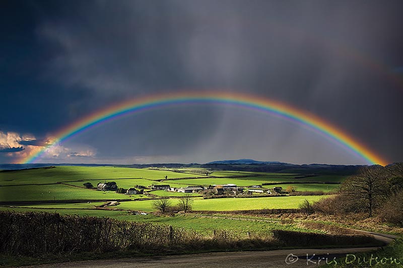 spring-puzzler-rainbow.jpg